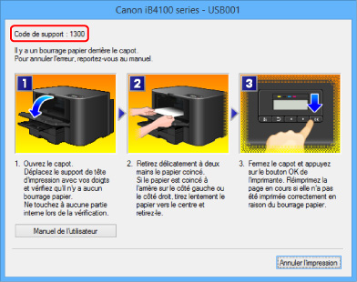 figure : Écran de message d'erreur